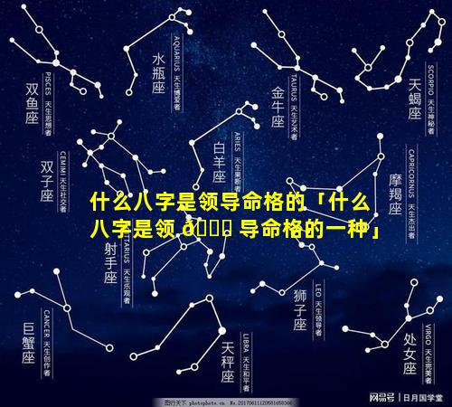 什么八字是领导命格的「什么八字是领 🐈 导命格的一种」